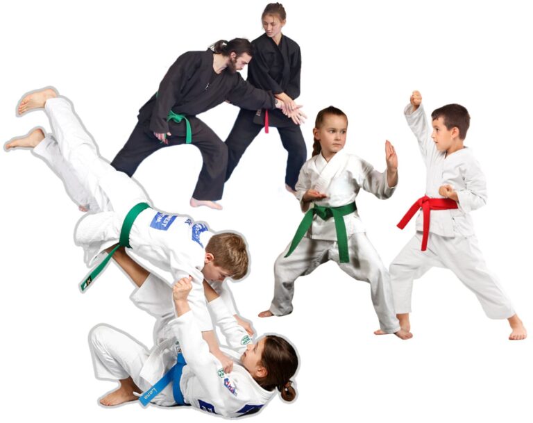 Veleprodaja sportske opreme za karate judo aikido